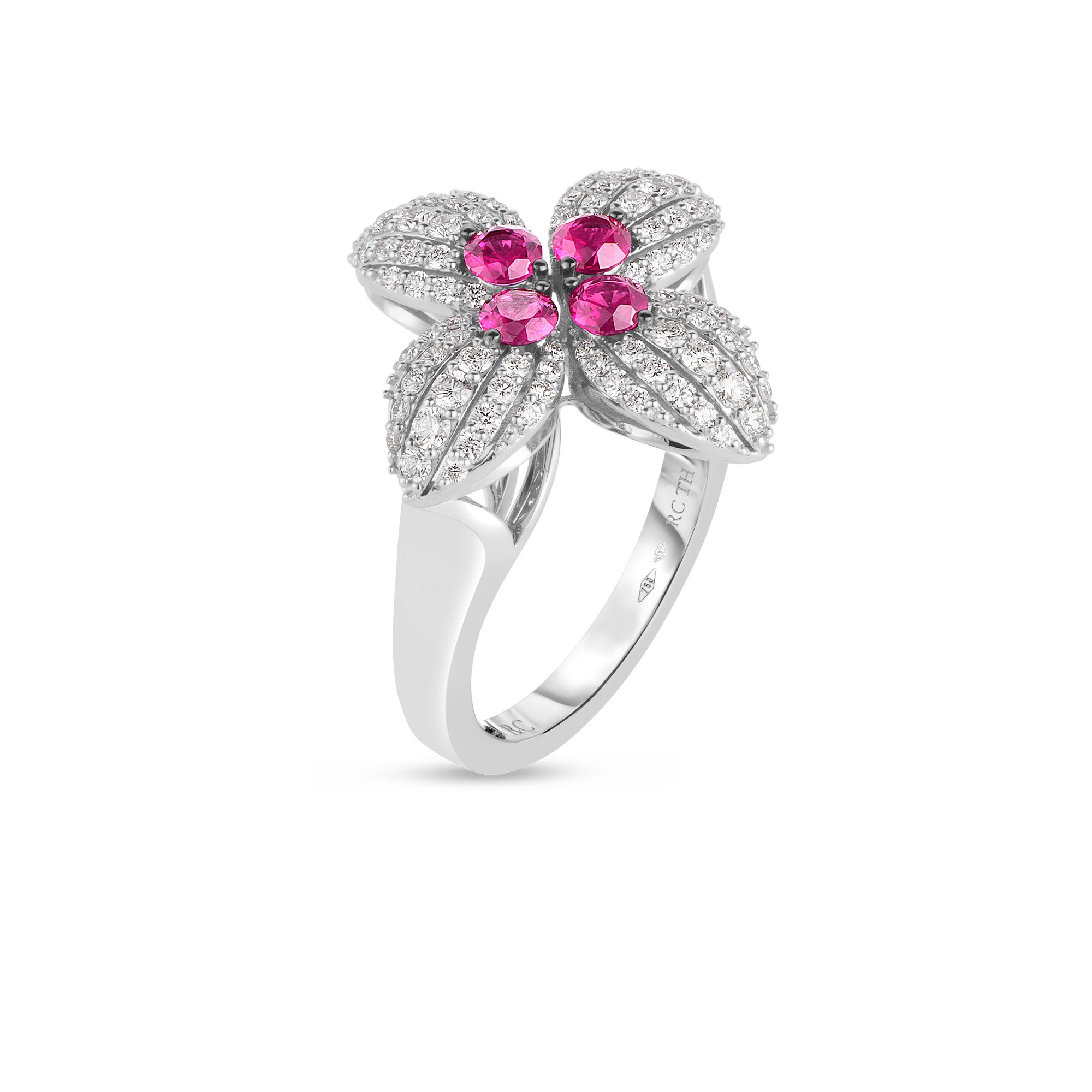 Roberto 2024 coin ruby